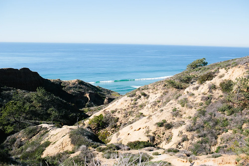 sandiego2.jpg