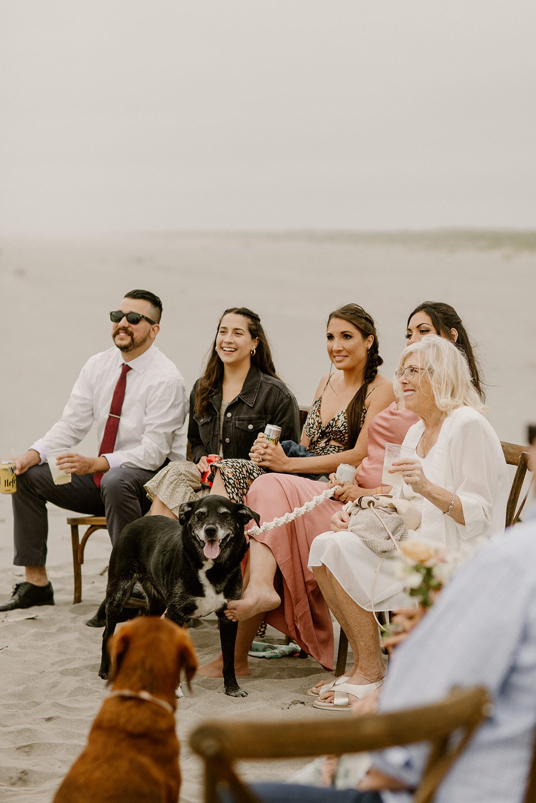 bride and grooms dog watching their ceremony