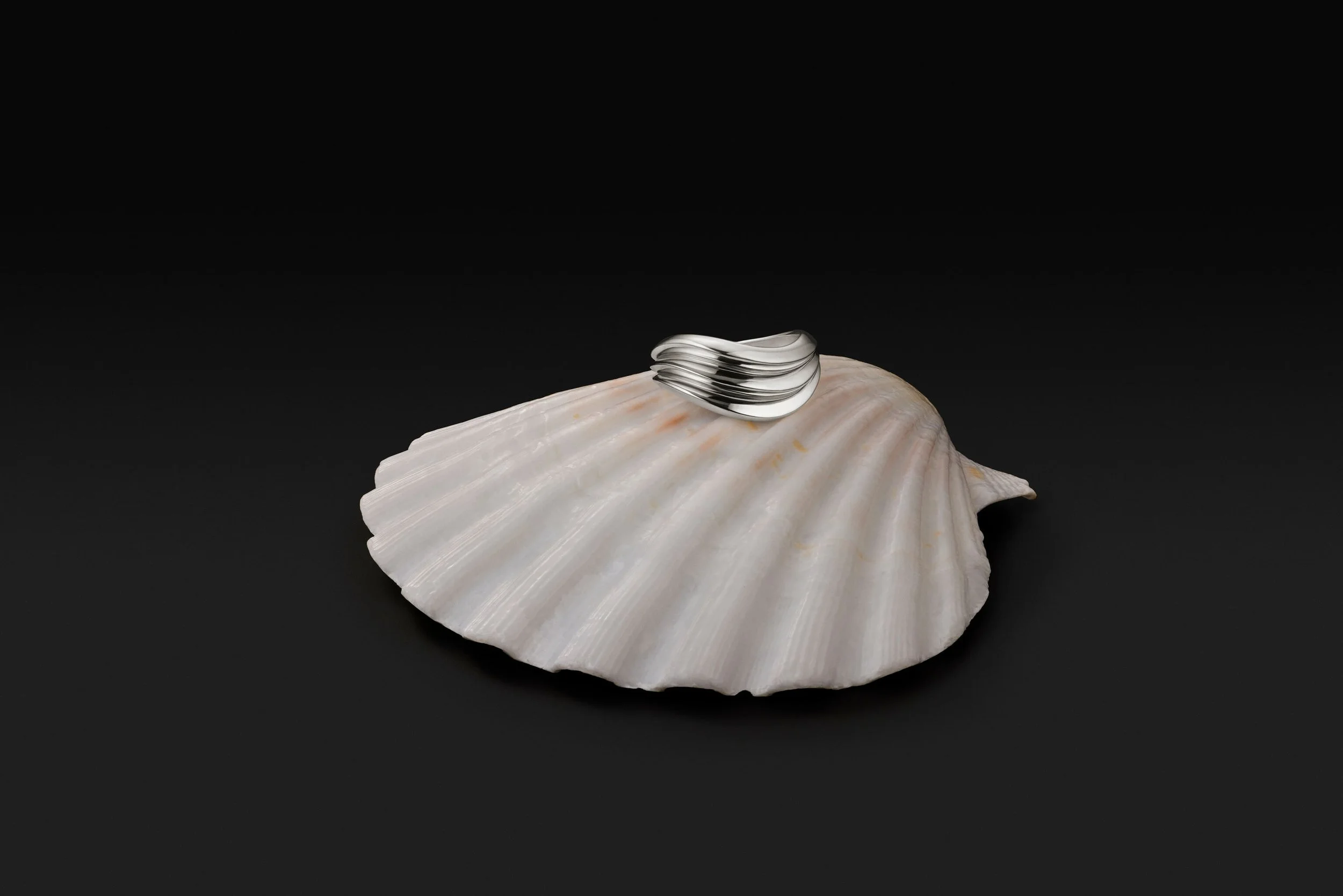 1840454_Curve_Jewelry_Shell_AM_2026.jpg