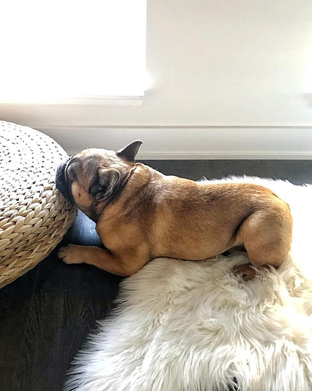 Reg rests his read... again