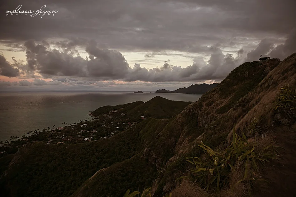 A little bit o' Hawai'i