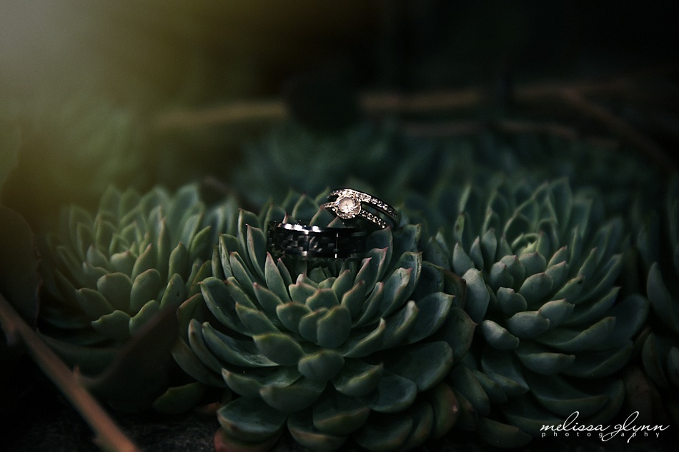 WEDDING :: SARAH + JOSH IN AUSTIN, TEXAS