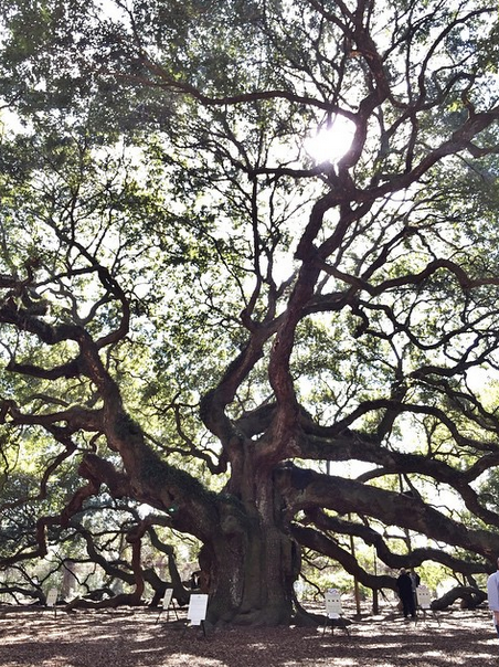 Screen Shot 2015-02-16 at 1.17.13 PM.png