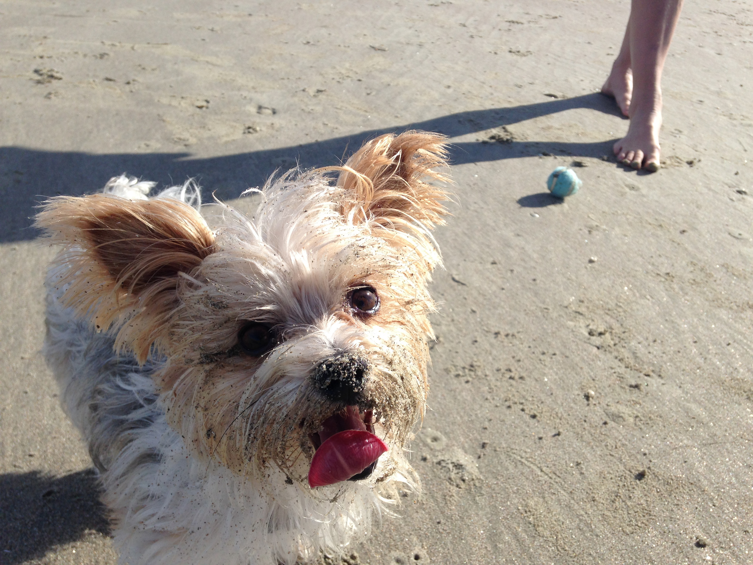 010_Charleston.jpg
