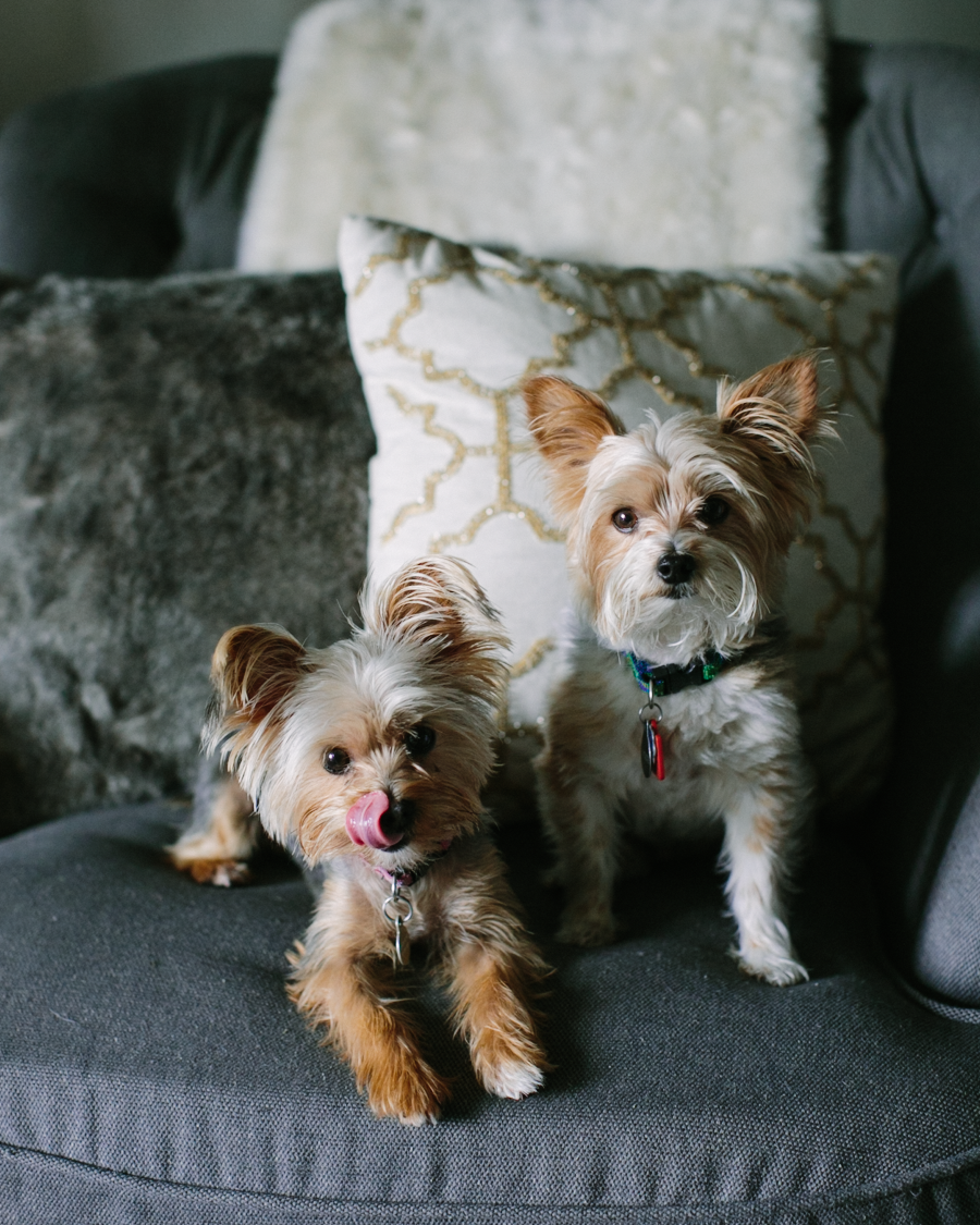 They are cute little distractions, though... 
