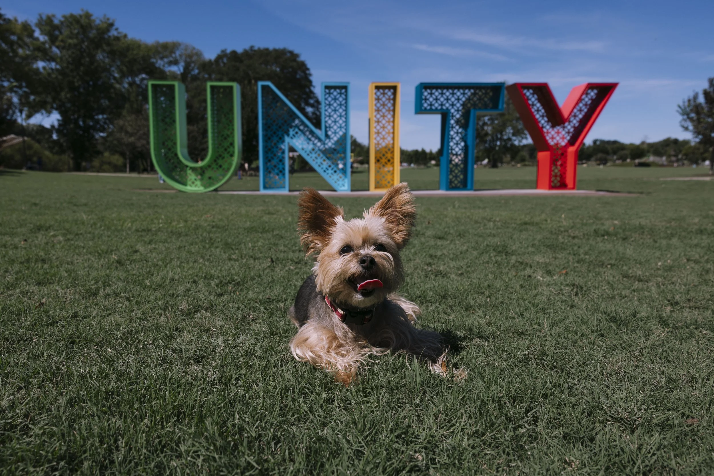 Pup Portraits at the Park