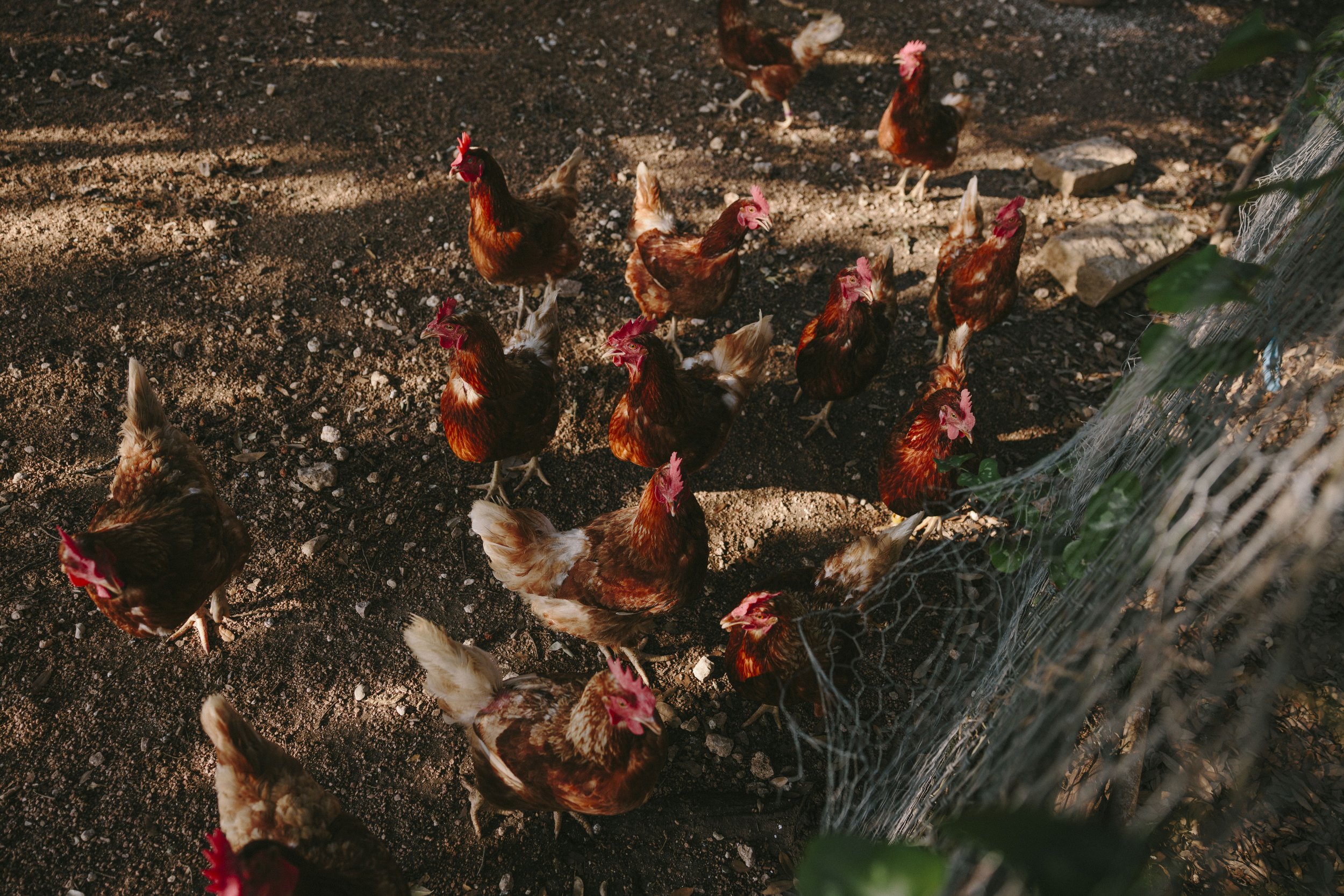 South Carolina lifestyle photographer