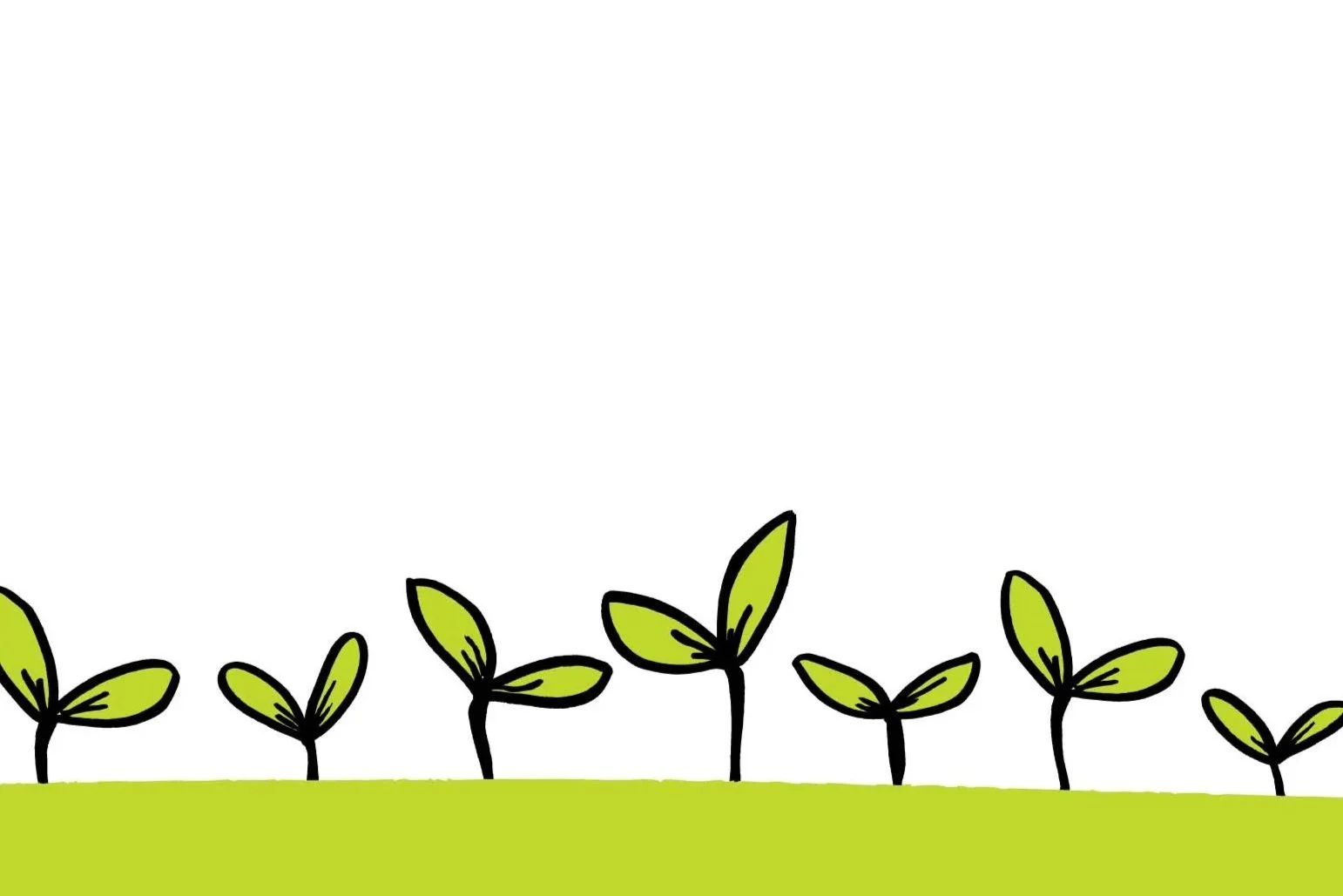 sprouts-thankyou.jpg