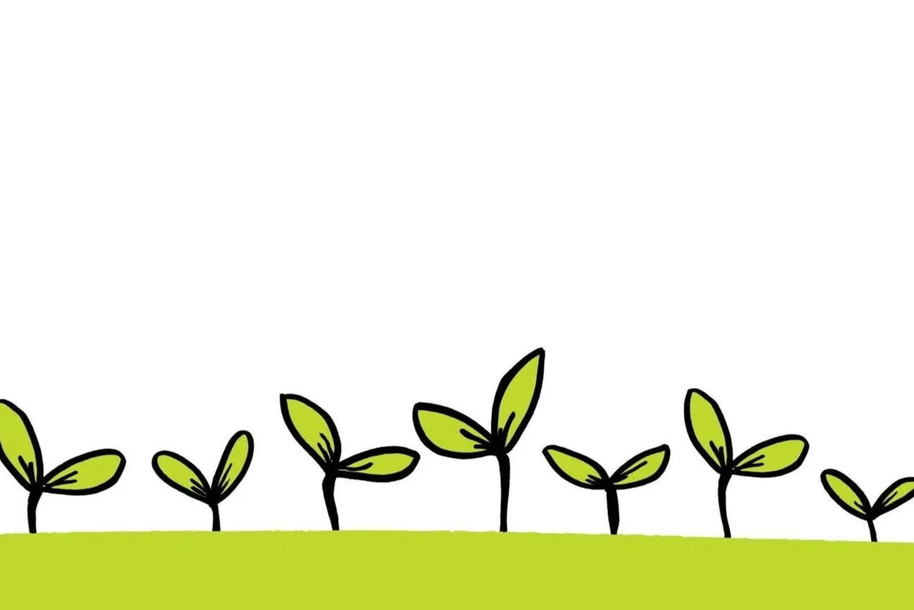 sprouts-thankyou.jpg