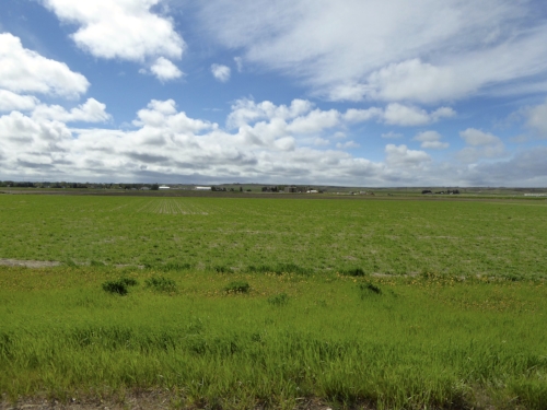 Local Food Systems: Case studies exploring opportunities and challenges for local food systems in Eastern Montana