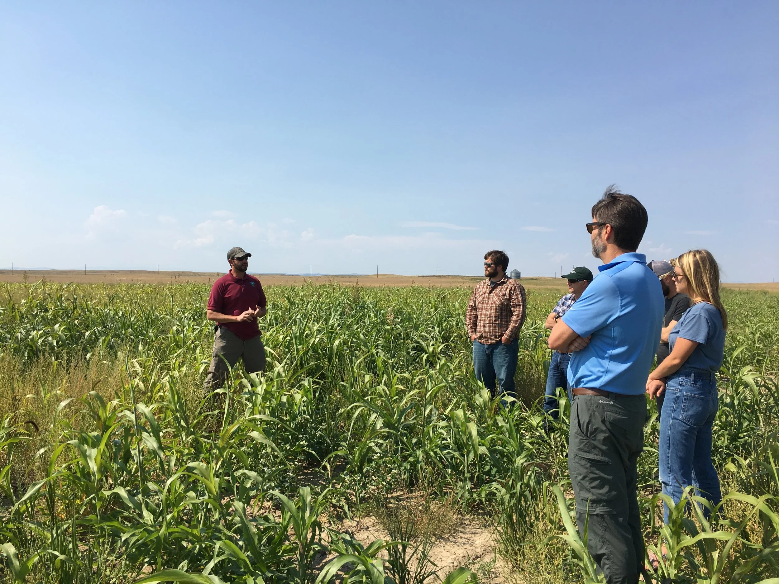 Matt Comer of the MT BLM and MSU participants in a former crop field undergoing restoration to native range.