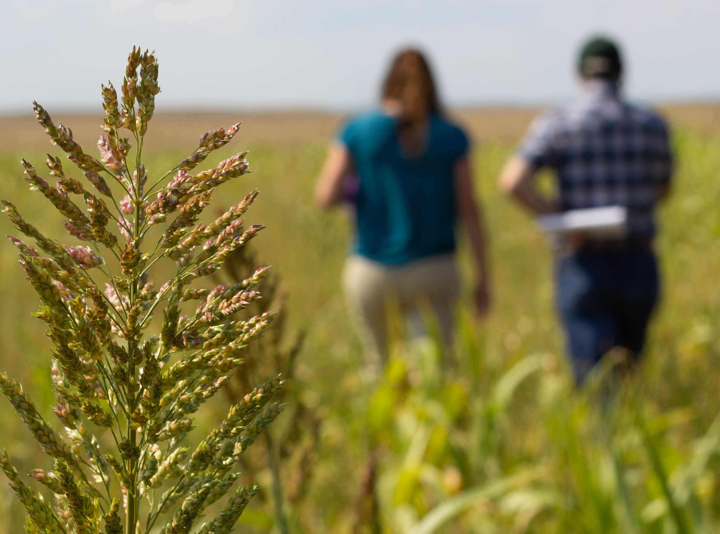 grass and crew.jpg