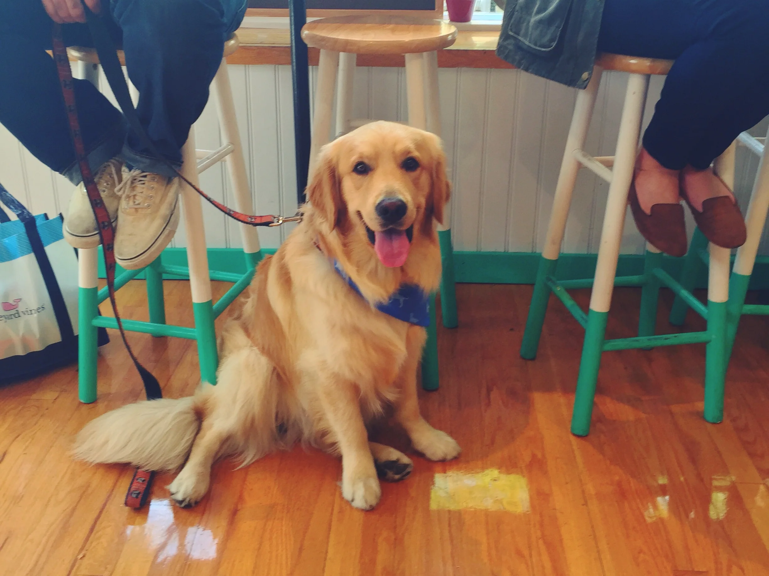 Taking a break from exploring and getting an icecream cone!