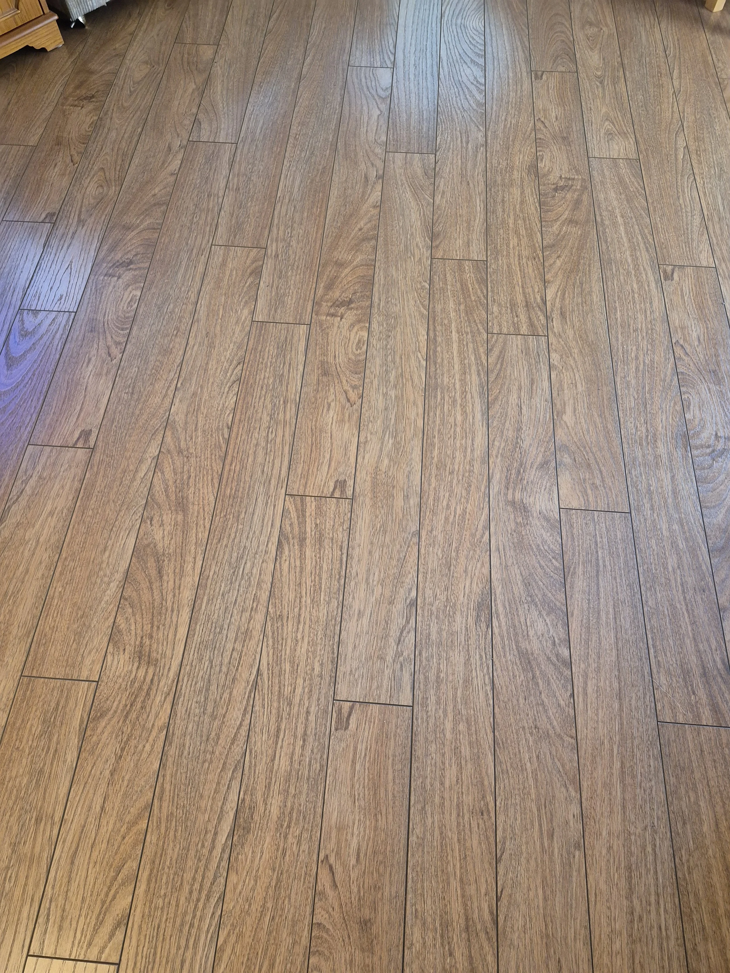 20260422_074729.jpg
