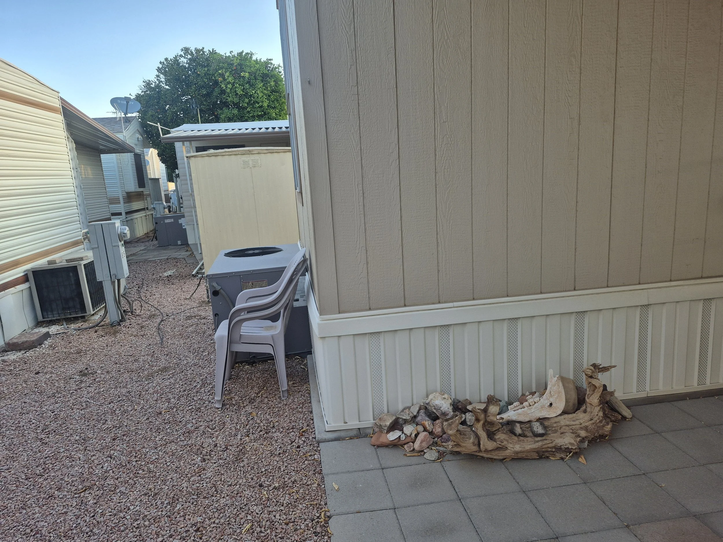 20260724_055526.jpg