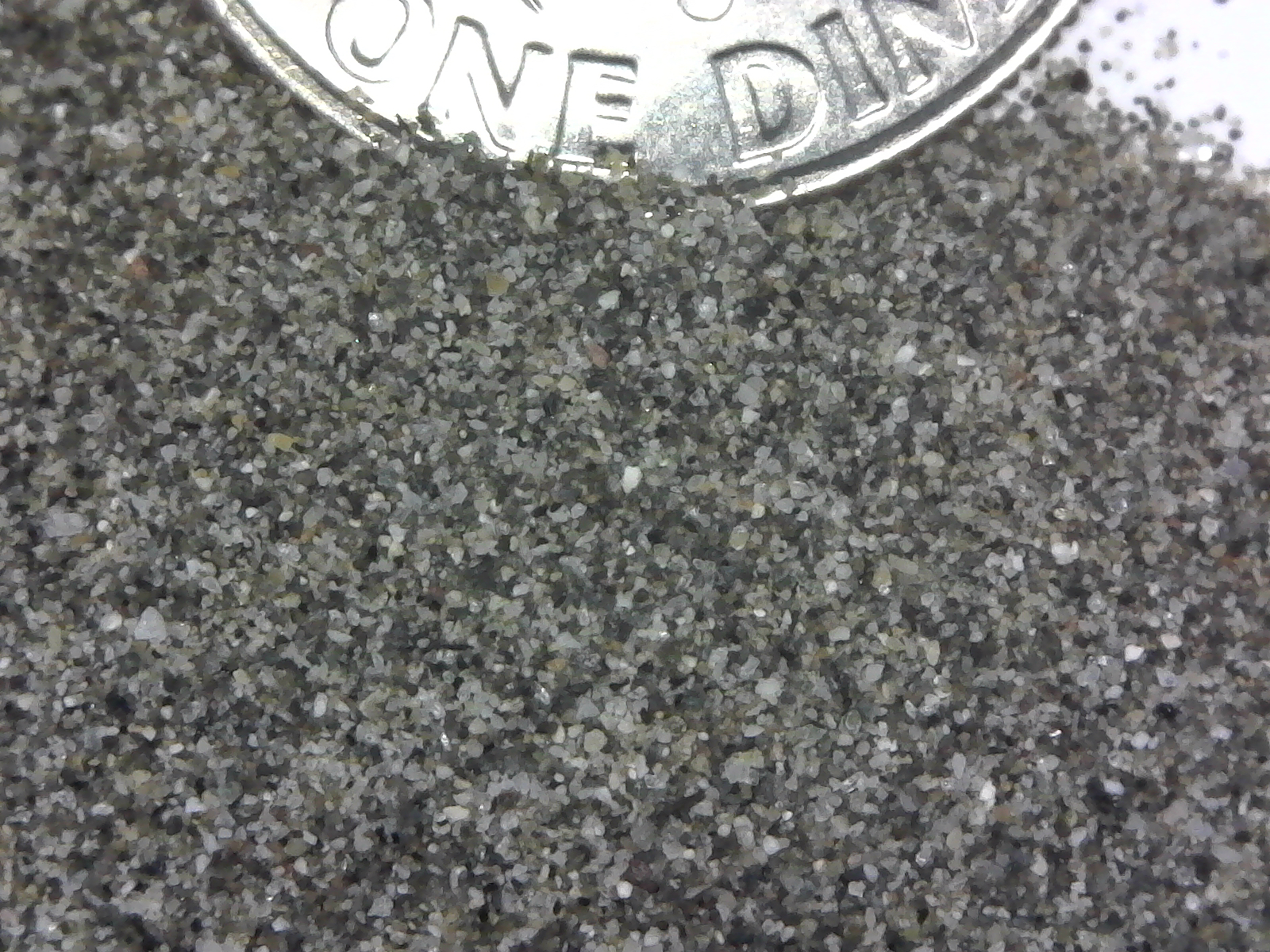 S20190505_002.jpg
