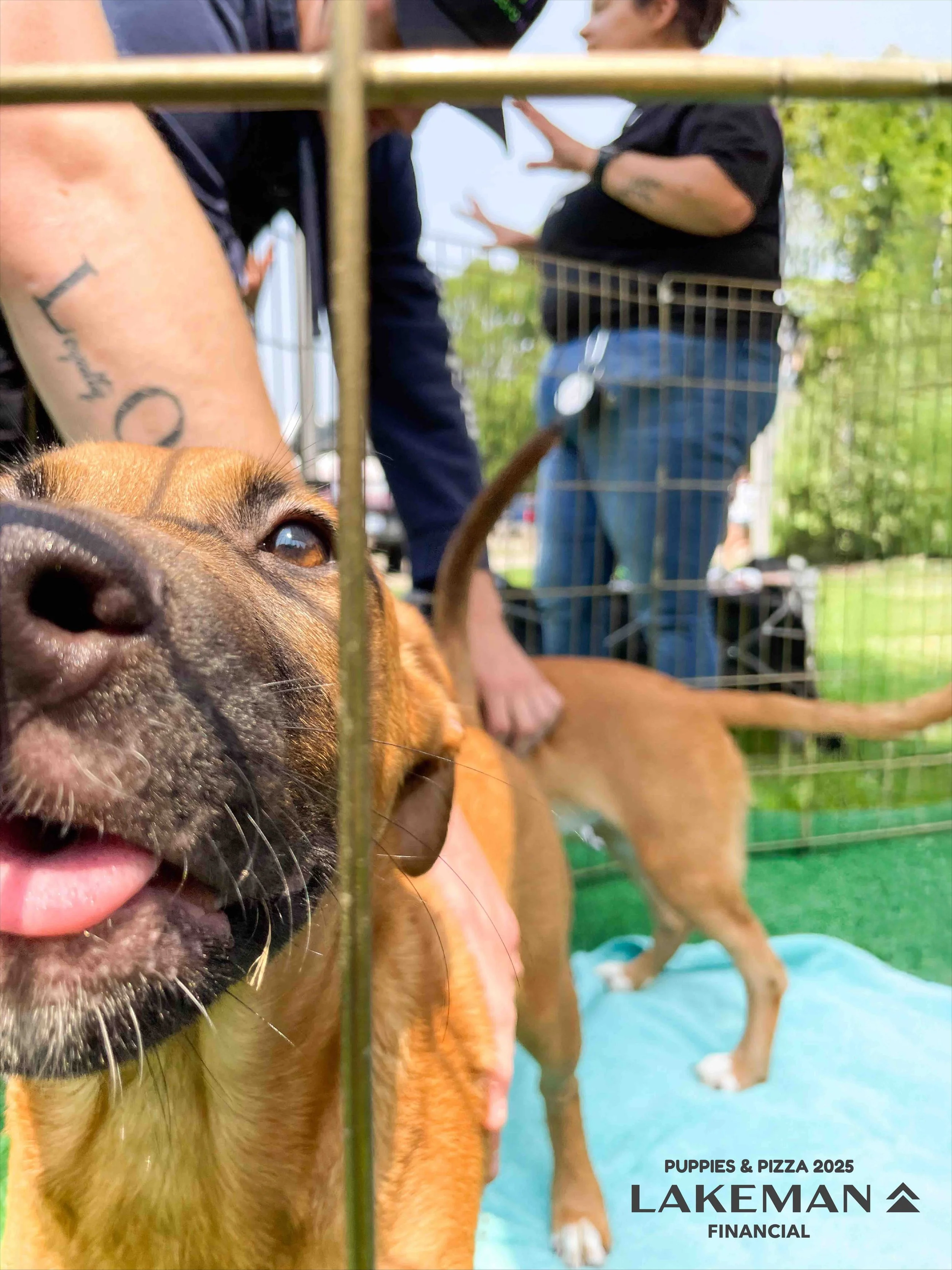 Puppies & Pizza 2025-8.jpg
