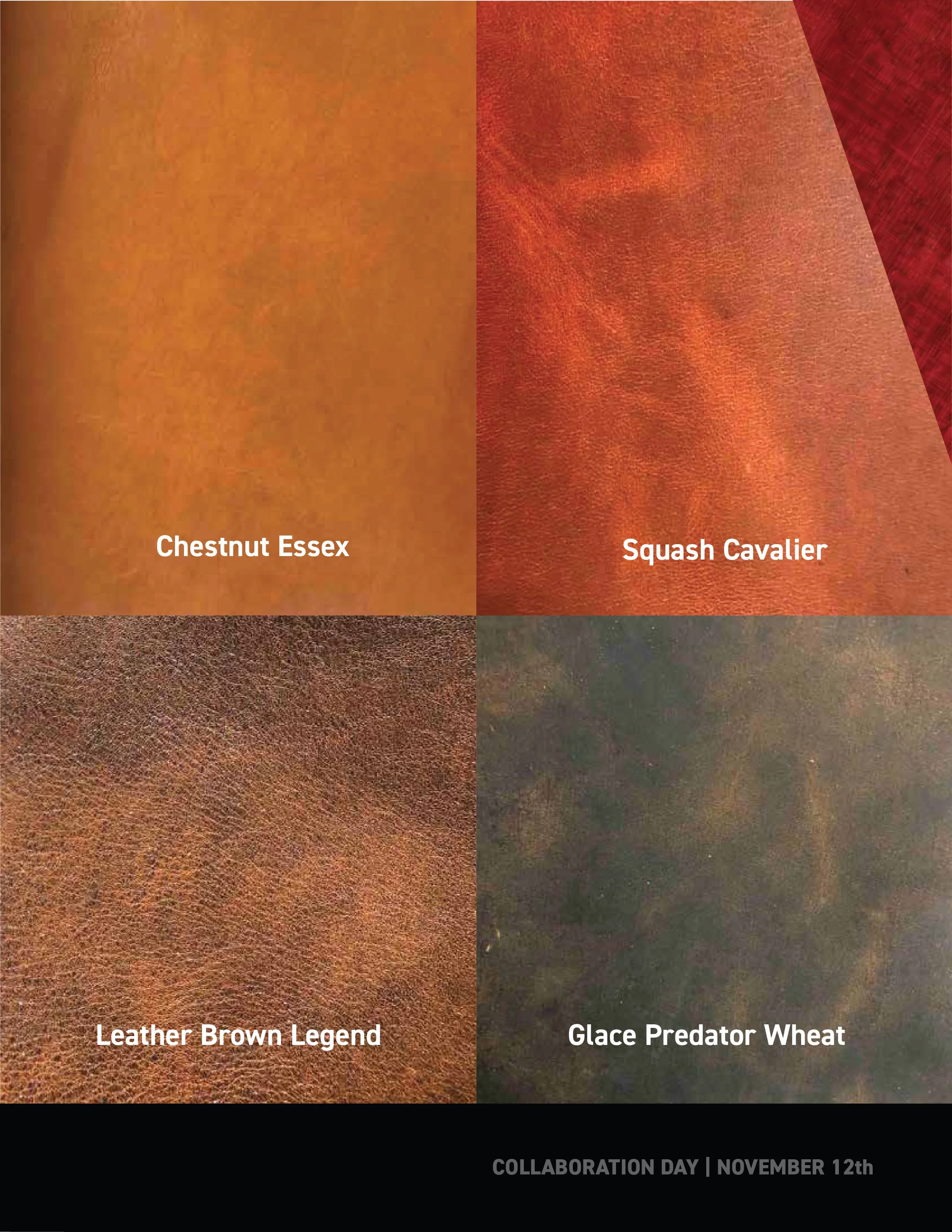 Artboard 4@4x-100.jpg