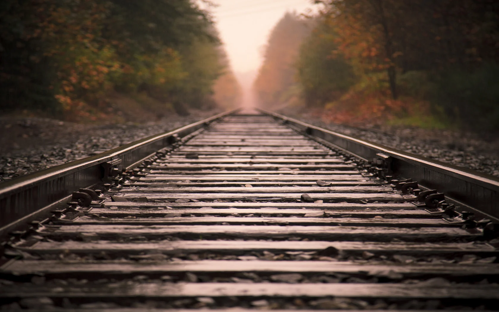 Train-Tracks-1680x1050-wide-wallpapers.net.jpg