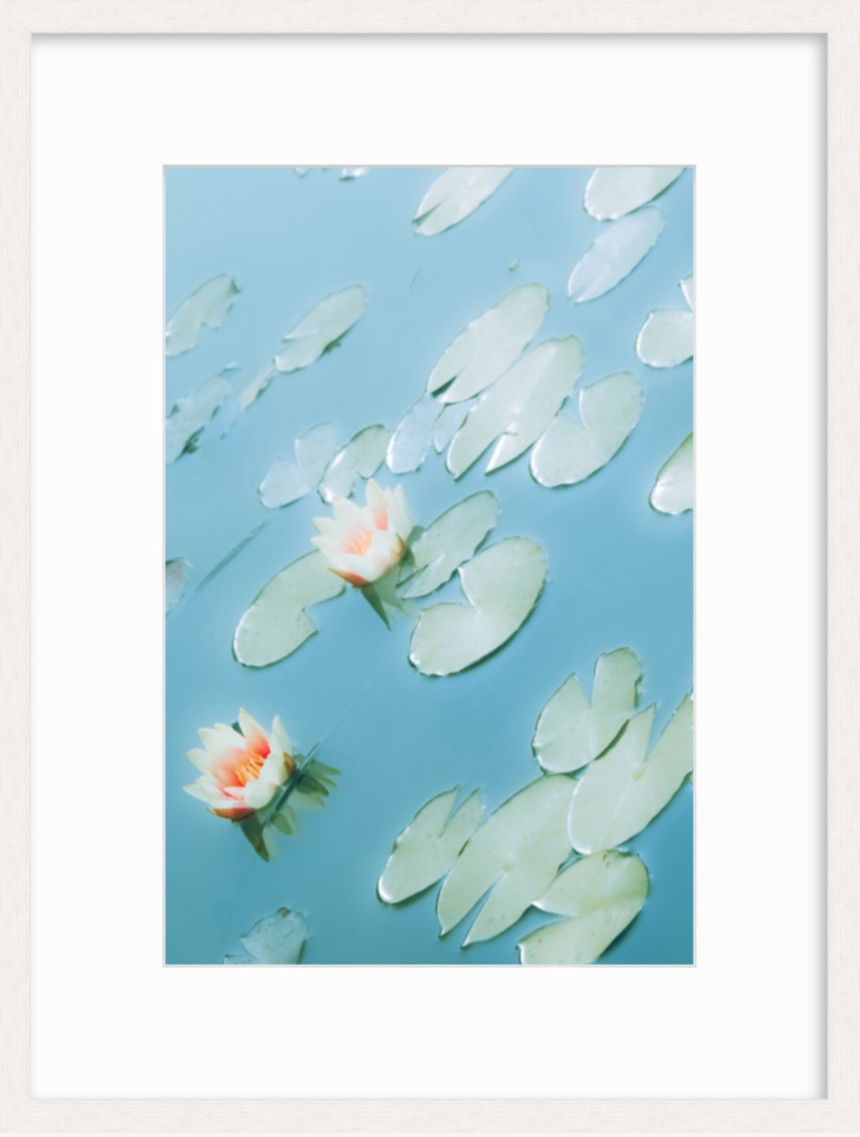 Screen Shot 2019-04-02 at 7.34.56 PM.png