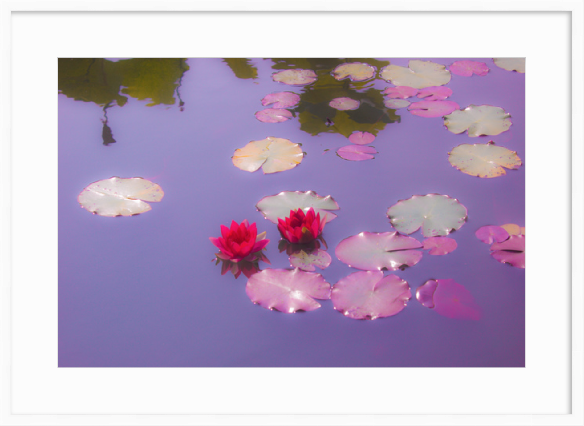 Screen Shot 2019-04-20 at 8.30.25 PM.png