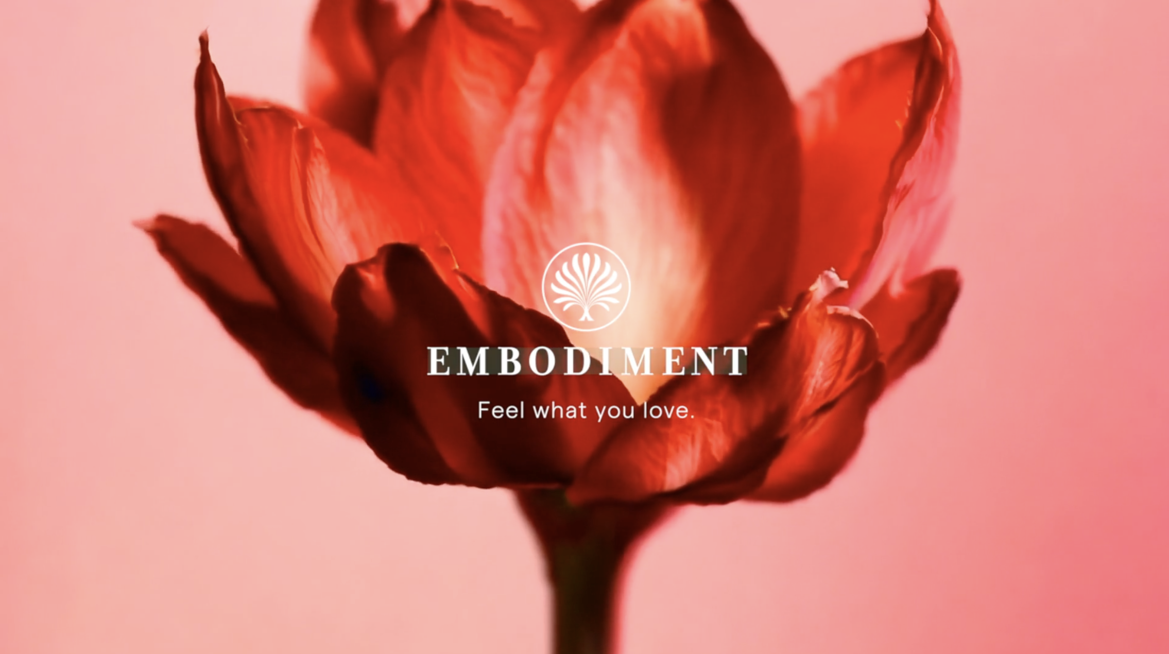 Screenshot 2025-12-06 at 11.54.46 PM.png