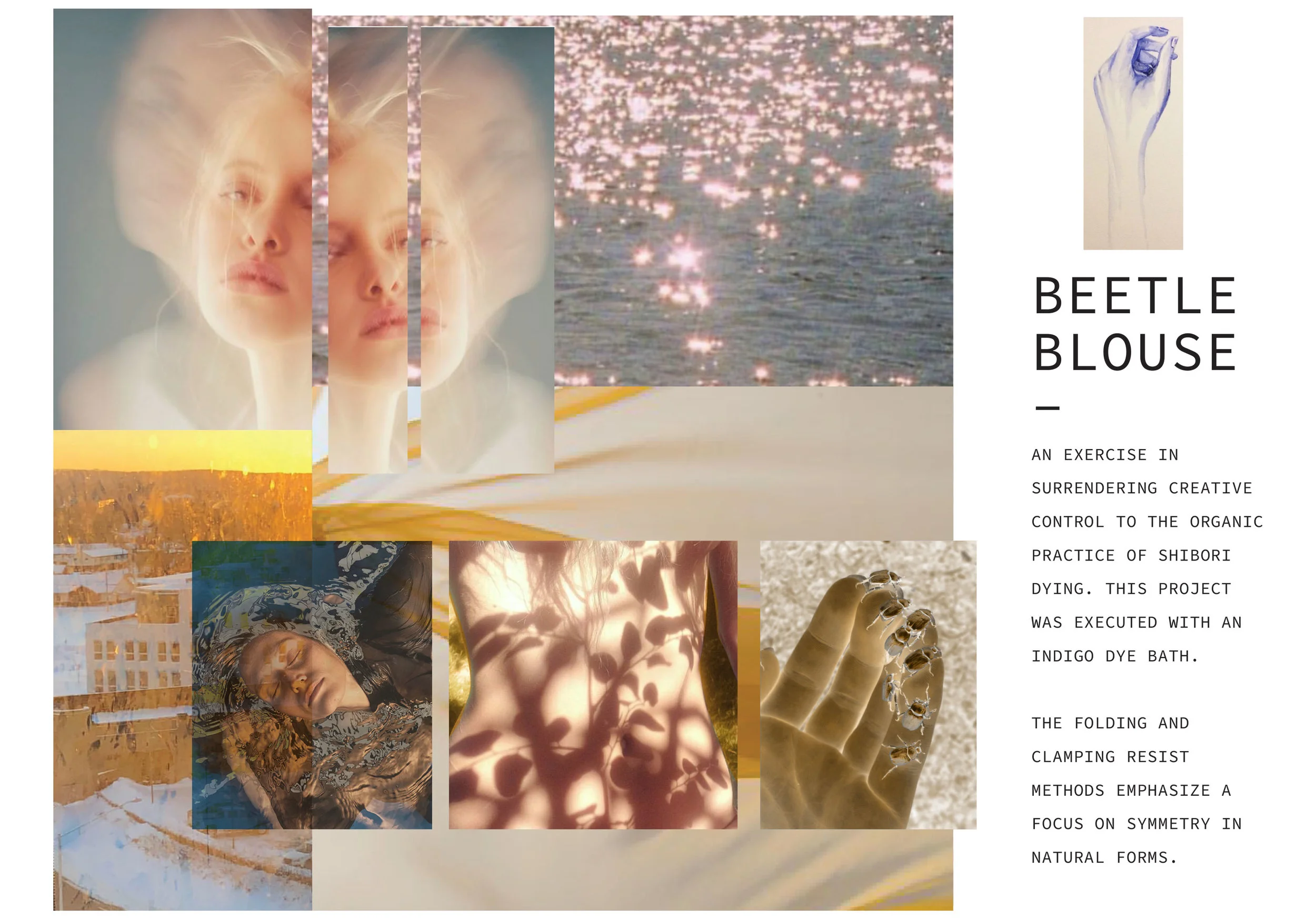 MOODBOARD-BEETLE.jpg