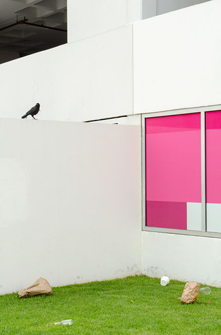 Los Angeles, CA, Izaak Schlossman