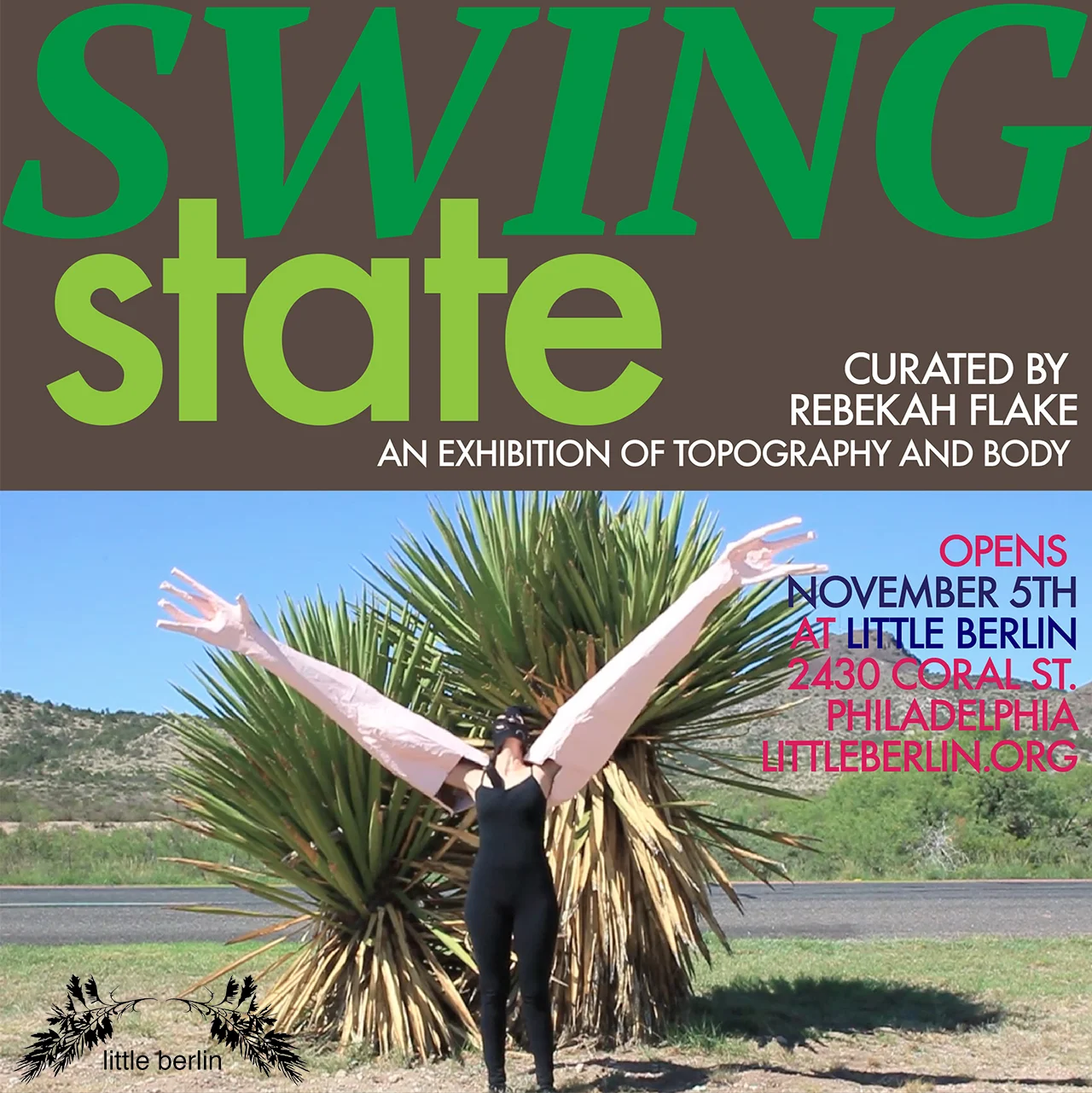 swing state brown wide
