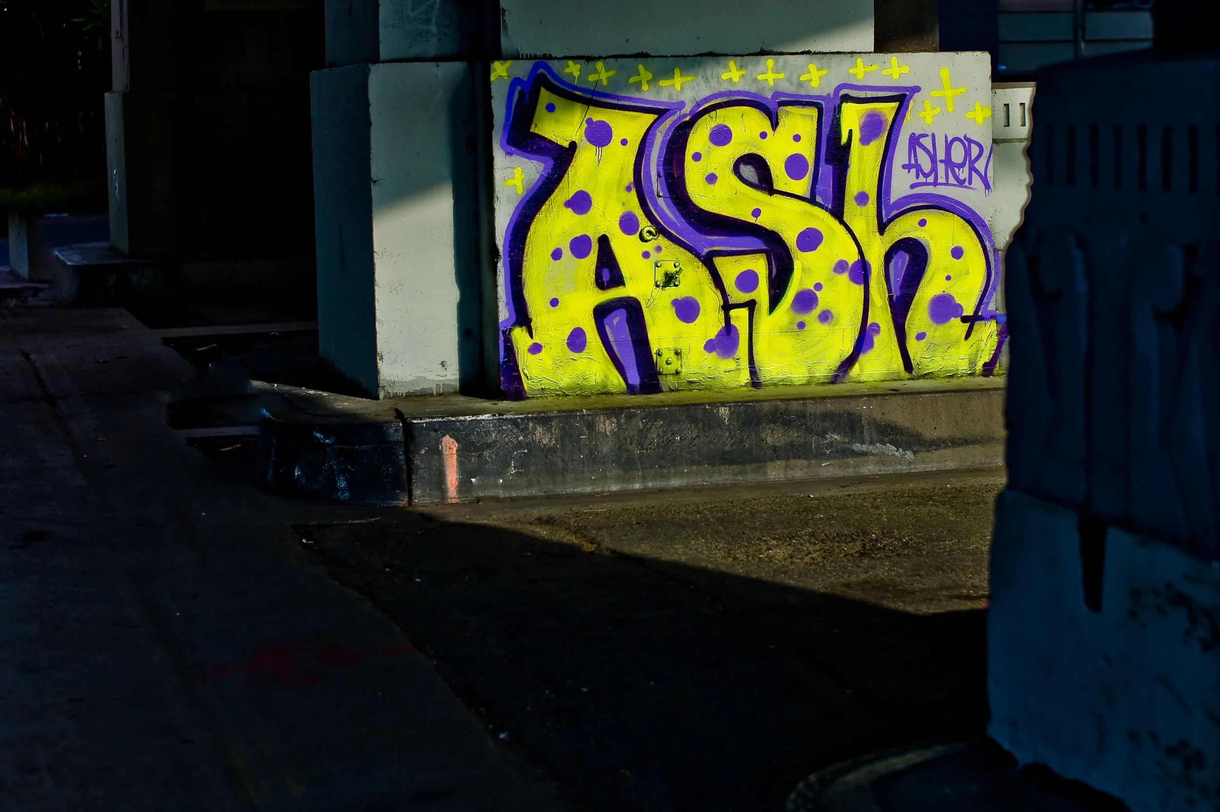L1003667.jpg