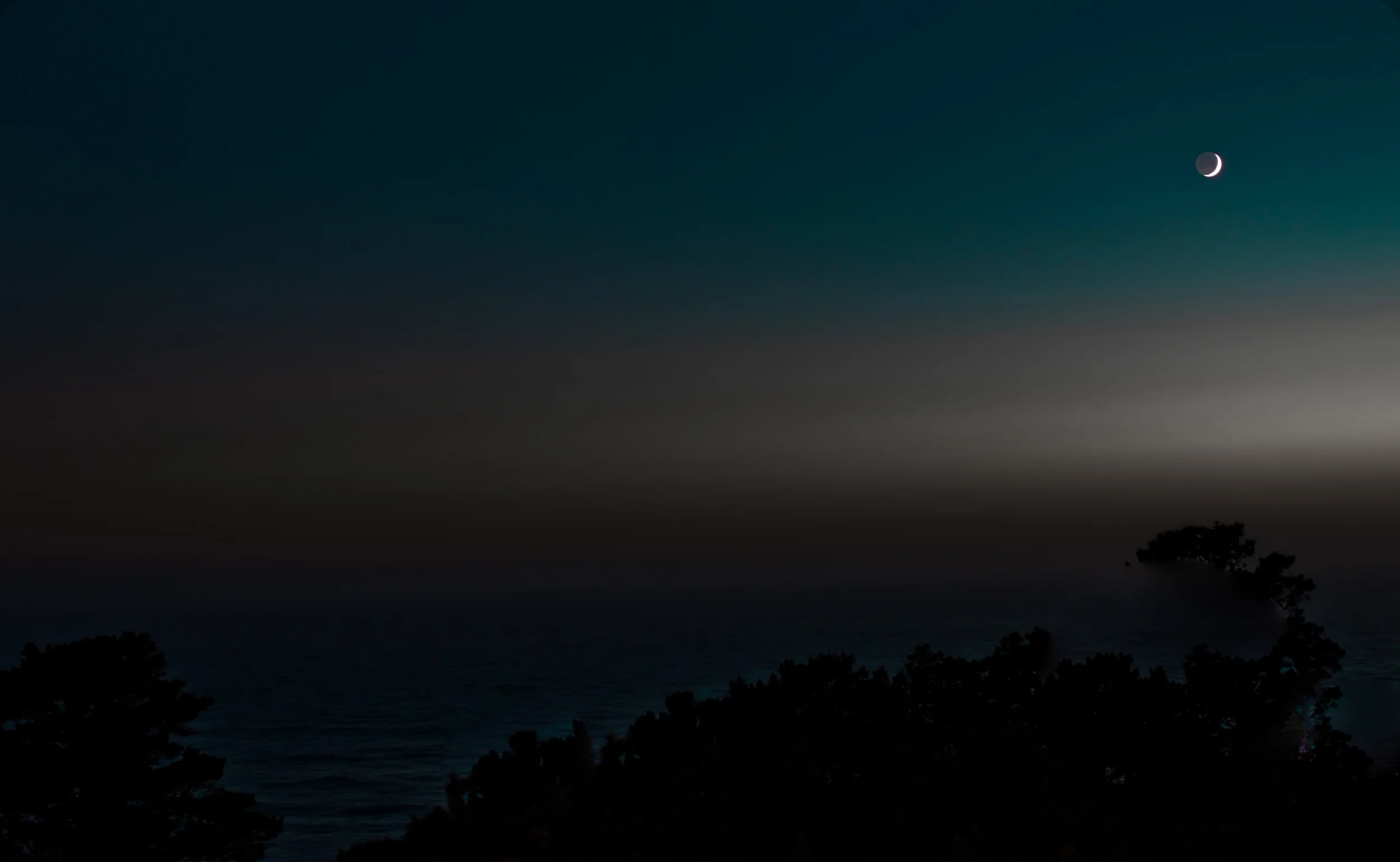 L1002231.jpg