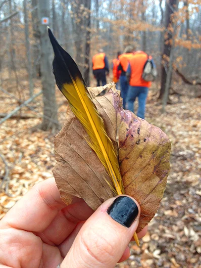 The feather that Sue predicted I would find, with "Take Back Our Woods" trailwalkers.