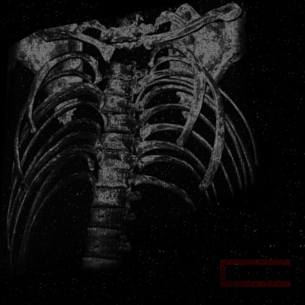 Clearside_Rib-Bone_Logo.jpg
