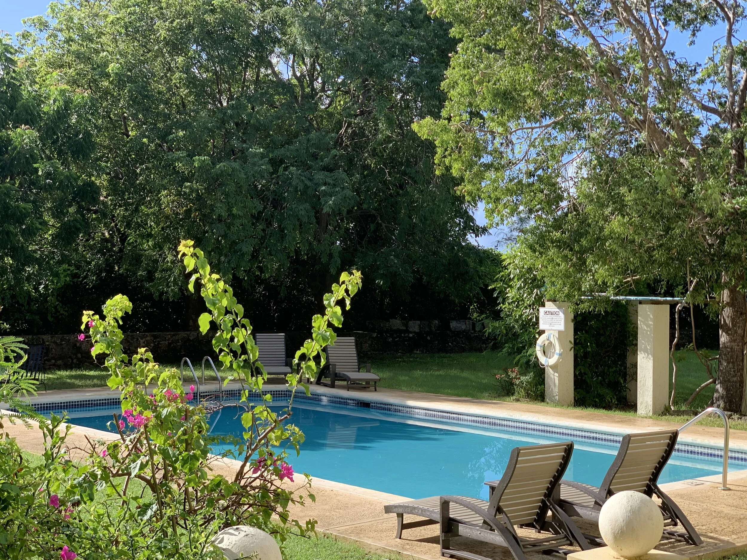Pool view.jpg