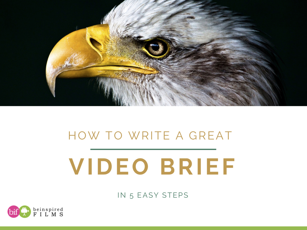 How to Write a Great Video Brief in 5 Easy Steps.001.jpeg