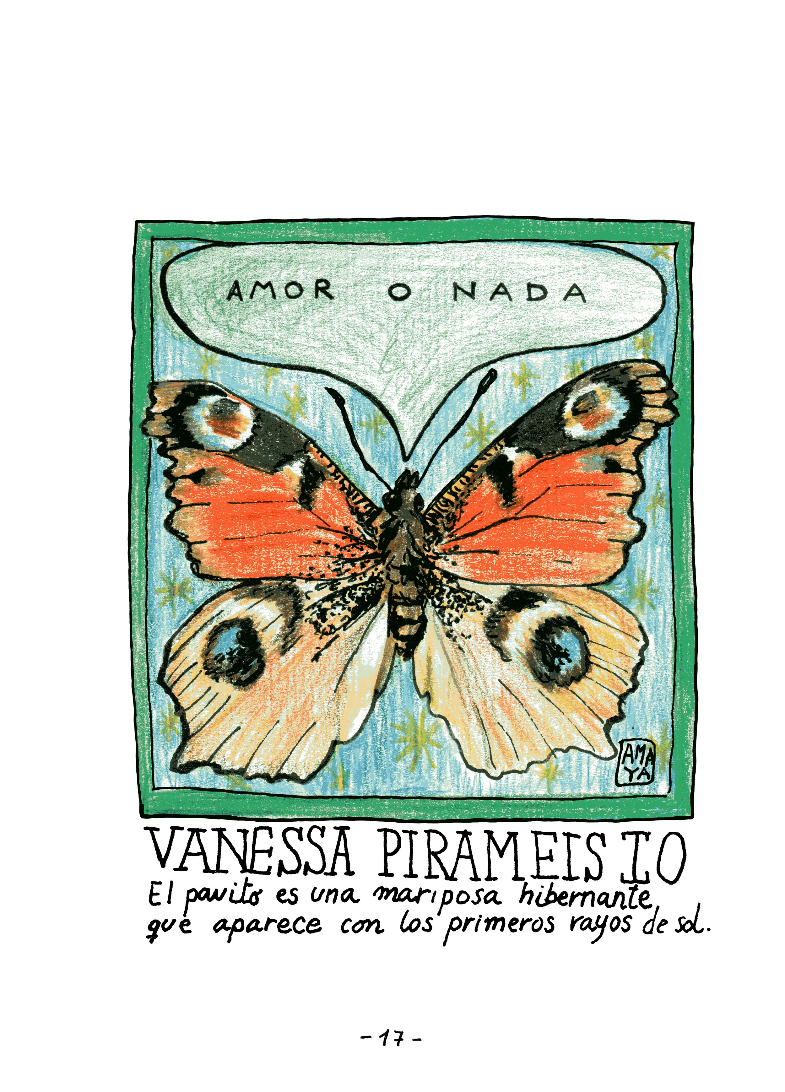11. amoronada.jpg