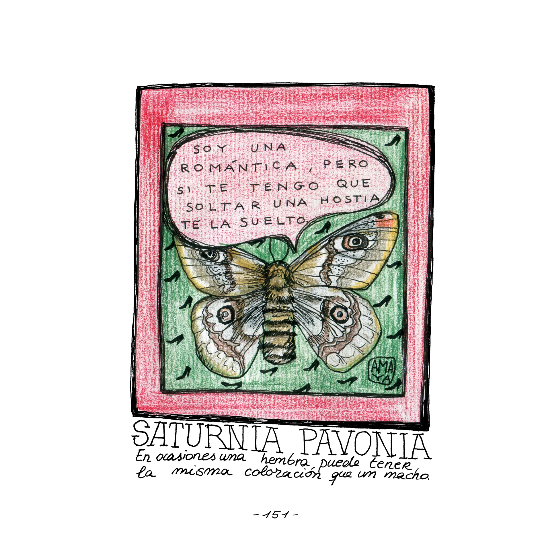 145. romántica.jpg