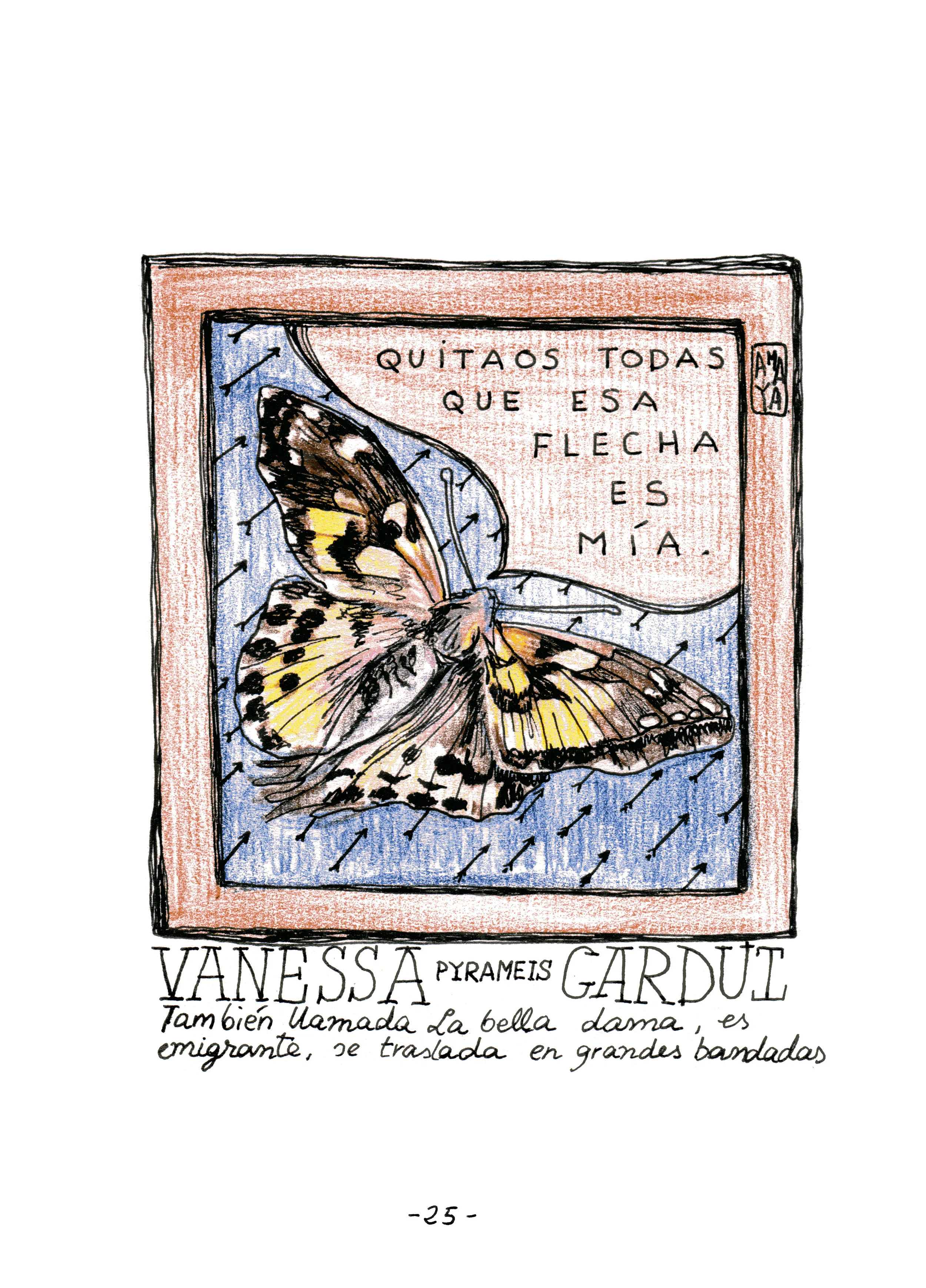 25. miflecha.jpg