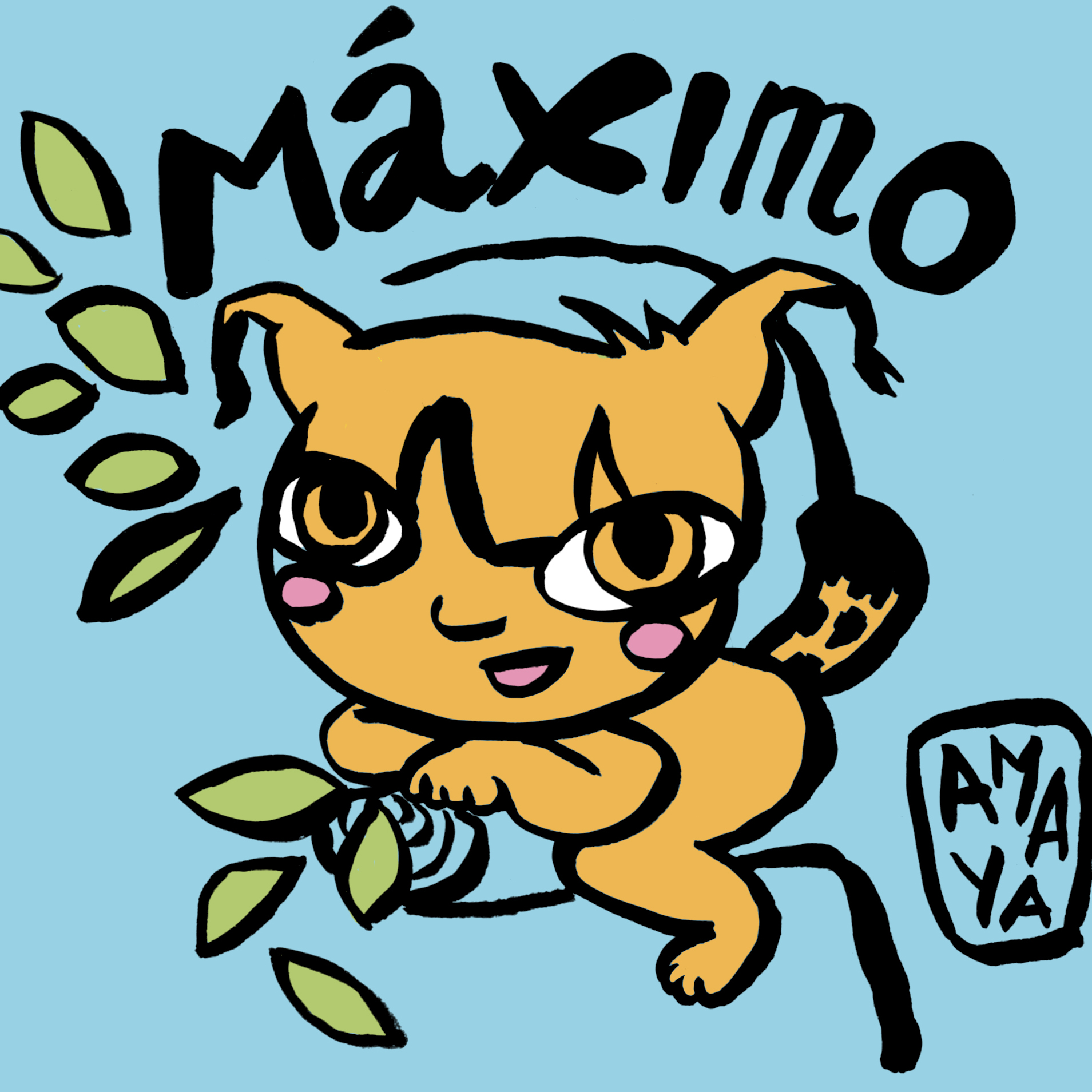 maximo2.jpg
