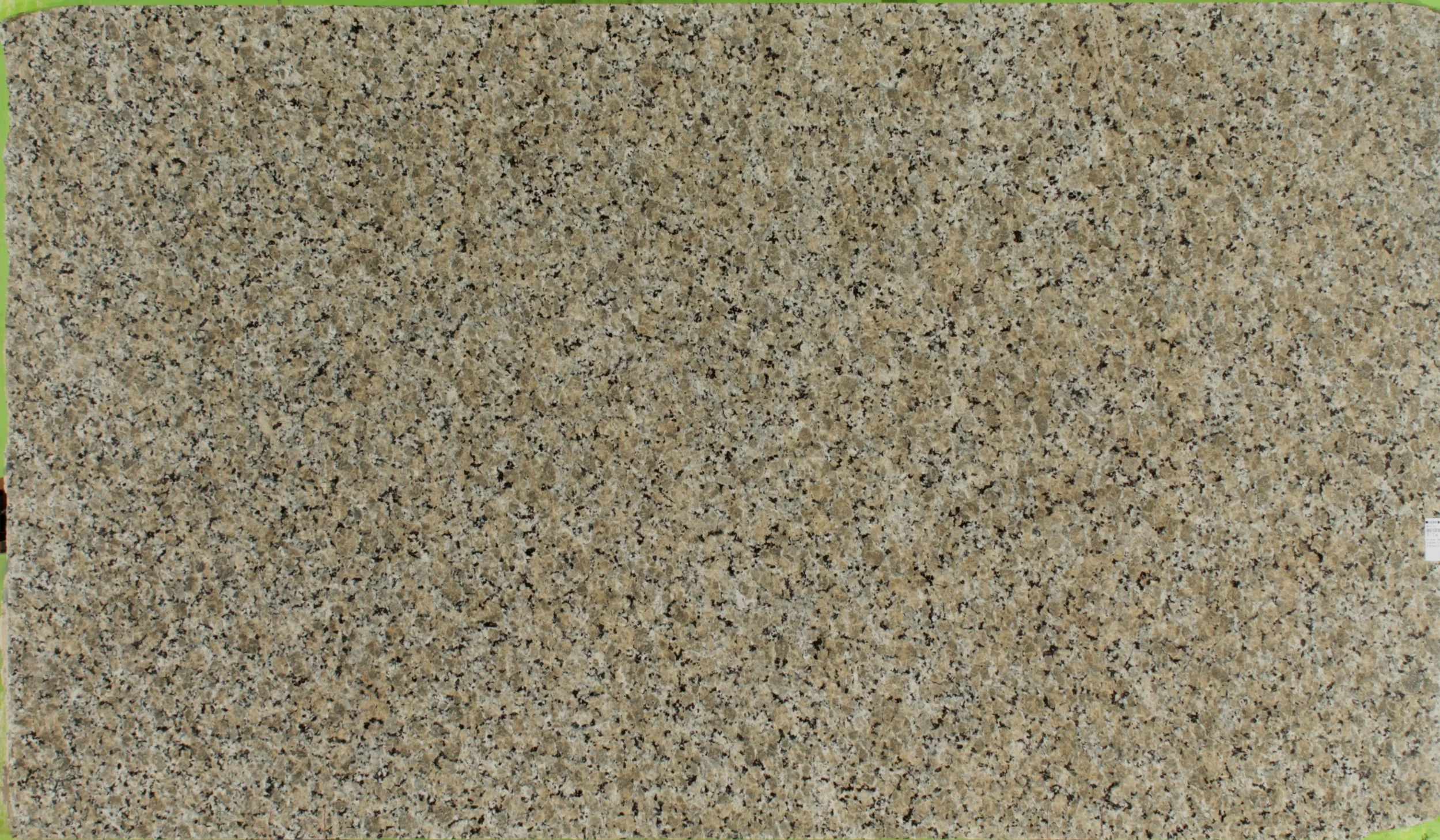 Butterfly beige