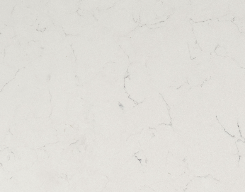 Carrara Delphi - Close up.png