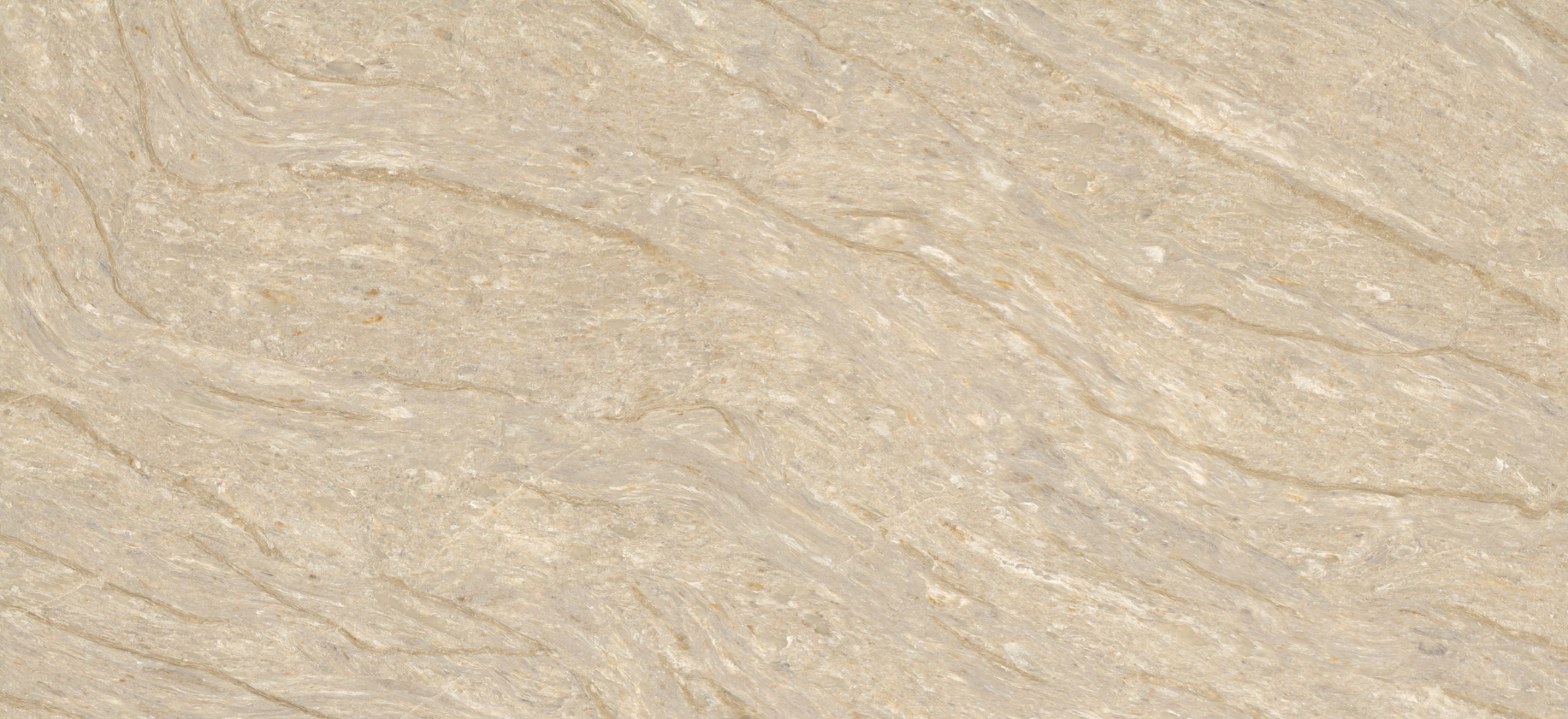 Calacatta Taj - slab.png