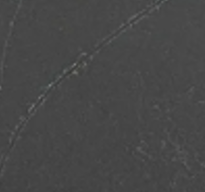 Black Lotus - close up.png
