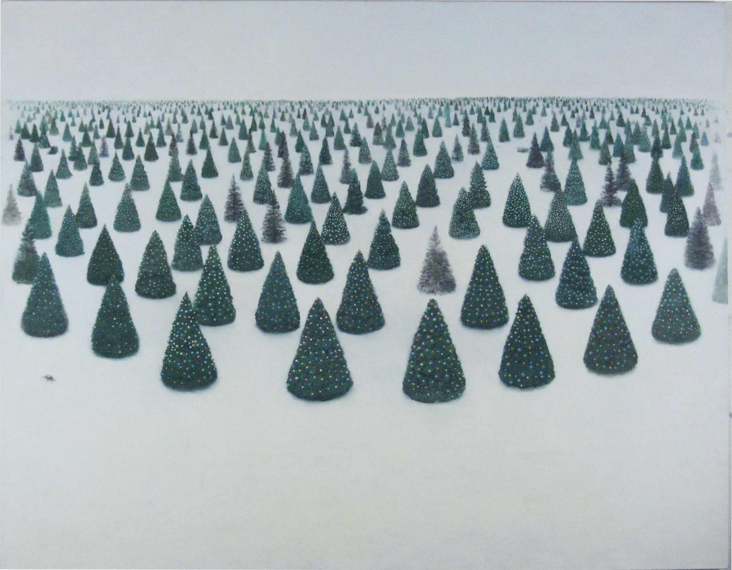 Pines_3_2005.jpeg