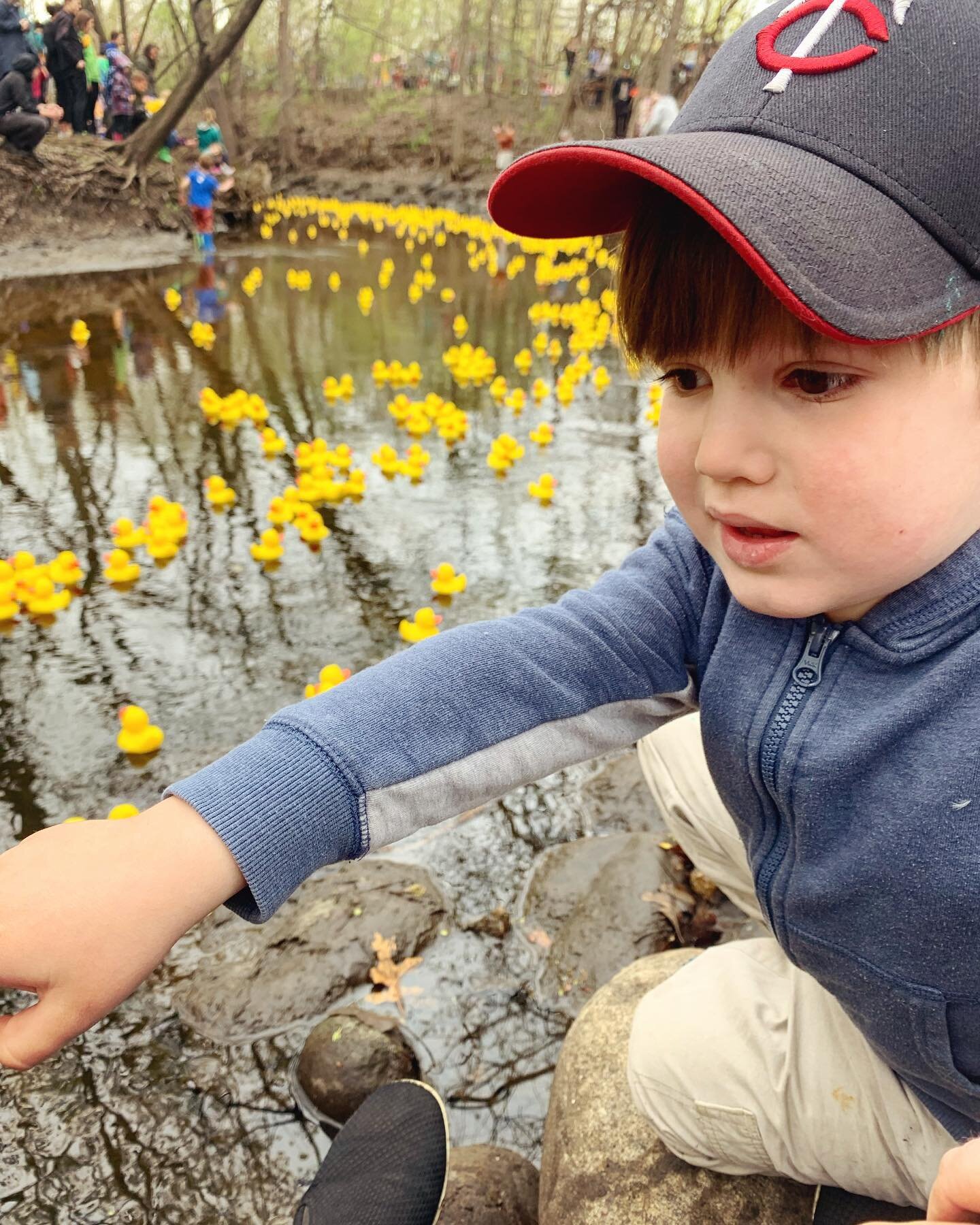 Cuteness overload at the Minnehaha Creek Duck Race