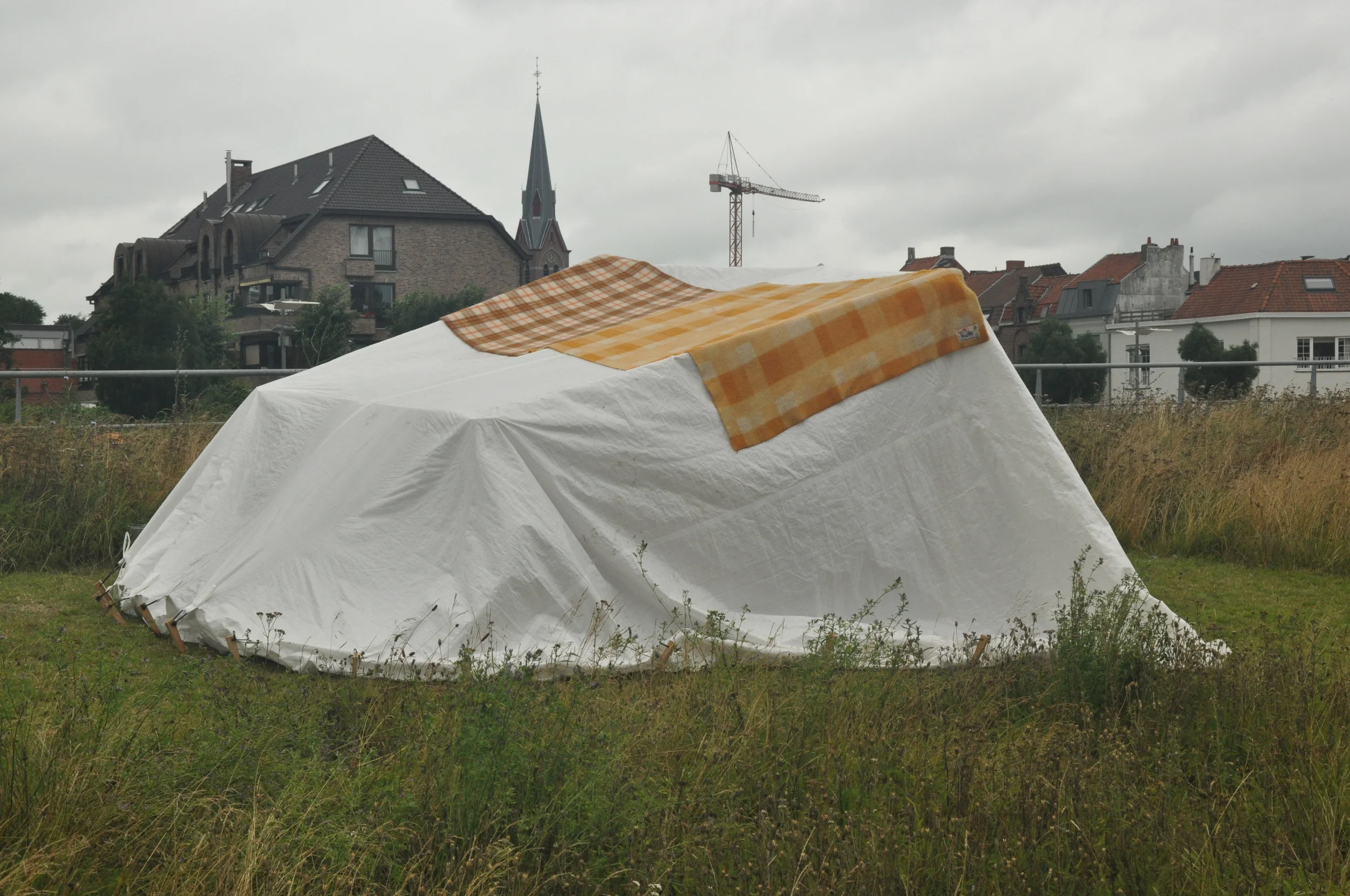 DSC_0086.JPG