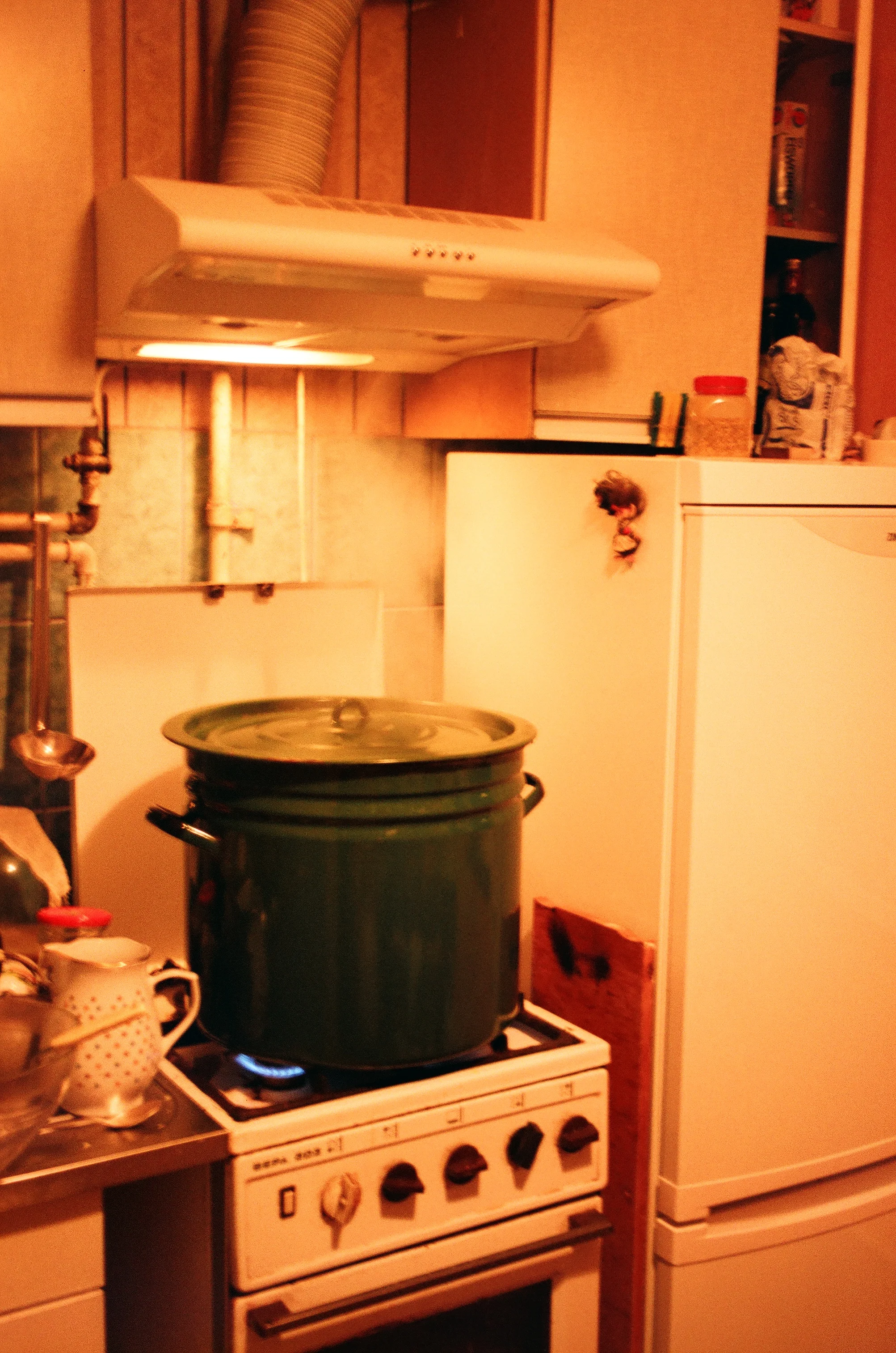 05030088.JPG