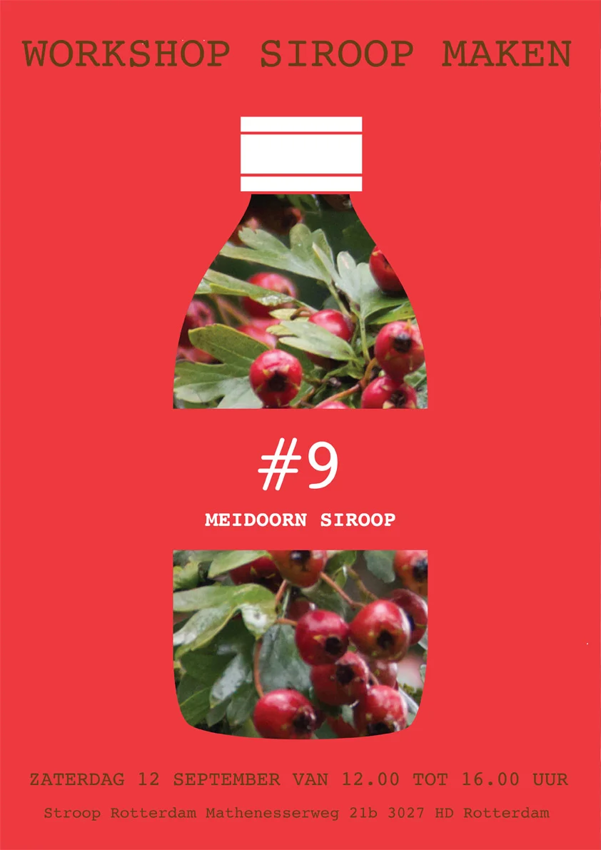 flyer9front.jpg