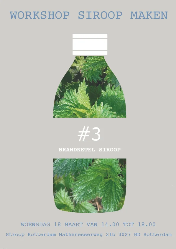 workshop3_posterGOOD.jpg
