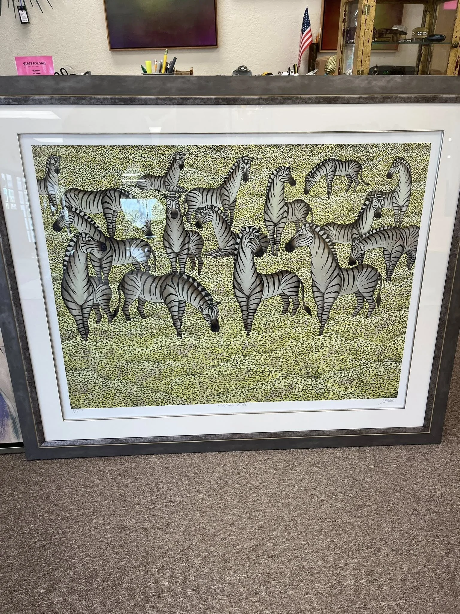 Gustavo Novoa Zebras